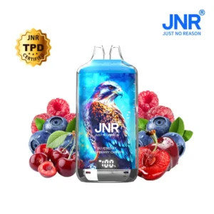 10 Blueberry Raspberry Cherry JNR Falcon-X Plus 28000 Puffs Disposable Vape