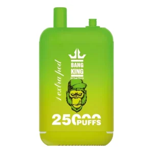 Bang King 25000 Puffs Disposable Vape #1