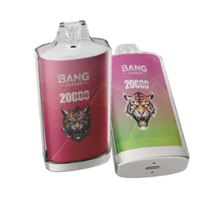 Bang Leader 20000 Puffs Disposable Vape #1
