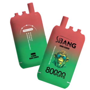 Bang Leader 80000 Puffs Disposable Vape #1
