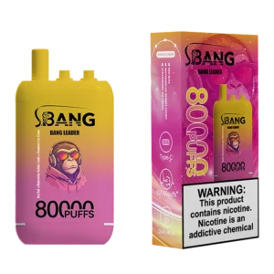 Bang Leader 80000 Puffs Disposable Vape #2