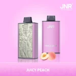 JUICY-PEACH JNR Mega Box 25000 Puffs Disposable Vape