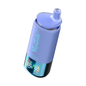 LEMON-LIME-STRAWBERRY-MELON D'EAU-BLUEBERRY-ICE-1-600x600