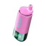 ANPFLANZEN-KONUS-STRAUBE-BANANNE-BLAU-R-AZZ-1-600x600