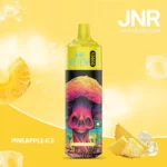 Pineapple-Ice-JNR Alien 10000 Puffs Vape jetable