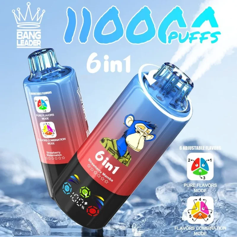 Puff 110k BANG LEADER 110000 Puffs Disposable Vape 6 in 1 Flavors