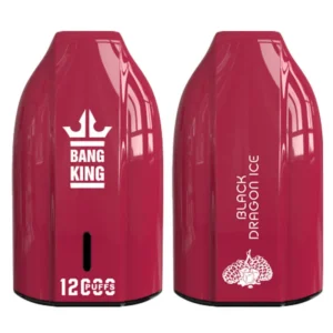 Puff 12k Bang King 12000 Puffs Disposable Vape #9
