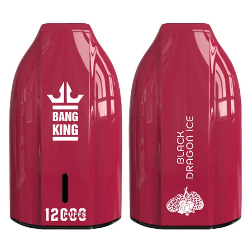 Puff 12k Bang King 12000 Puffs Disposable Vape #9 Puff 12k Bang King 12000 Puffs Disposable Vape #9