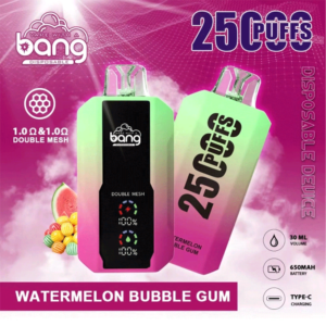 Puff 25k Bang 25000 Puffs Disposable Vape LED Display-Watermelon-Bubble-Gum.png