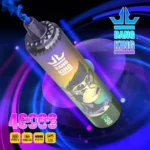 Puff 40k BANG KING TORNADO 40000 Puffs Stylo à Vape jetable-blueberry-grape.jpg