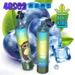 Puff 40k BANG KING TORNADO 40000 Puffs Stylo à Vape jetable-blueberry-ice.jpg