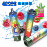 Puff 40k BANG KING TORNADO 40000 Puffs Stylo à Vape jetable-blueberry-raspberry.png
