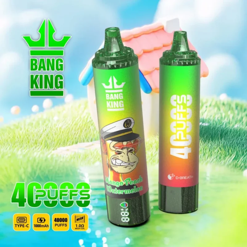 Puff 40k BANG KING TORNADO 40000 Puffs Stylo à Vape jetable-mangue-pêche-melon d'eau.jpg