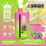 Puff 40k Bang Blaze 40000 Puffs Vape jetable Dual Flavor-raspberry-watermelon-aloe-vera-grape.jpg