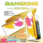 Puff 60k Bang King Ice Cool 60000 Puffs Disposable Vape Adjustable Cooling