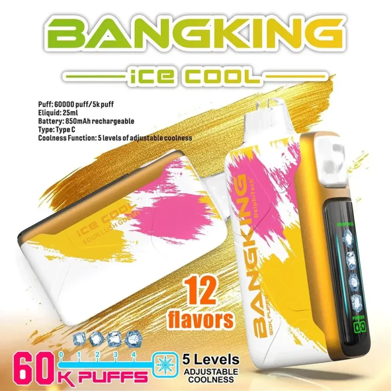 Puff 60k Bang King Ice Cool 60000 Puffs Disposable Vape Adjustable Cooling