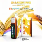 Puff 60k Bang King Ice Cool 60000 Puffs Disposable Vape Adjustable Cooling mango-magic-1.jpg
