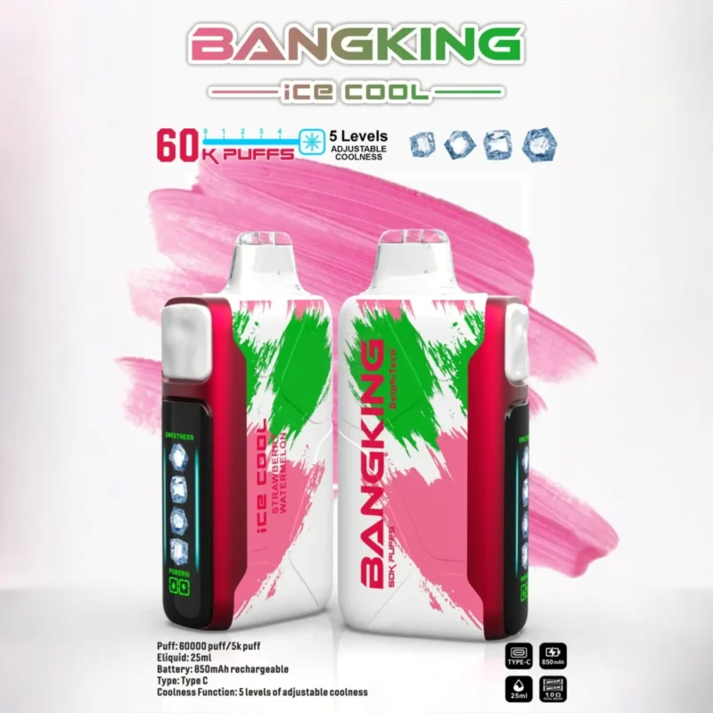 Puff 60k Bang King Ice Cool 60000 Puffs Disposable Vape Adjustable Cooling strawberry-watermelon-1.jpg