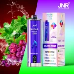 SM12 Grape Mint JNR Shisha Hookah Max 22000 Puffs Disposable Vape