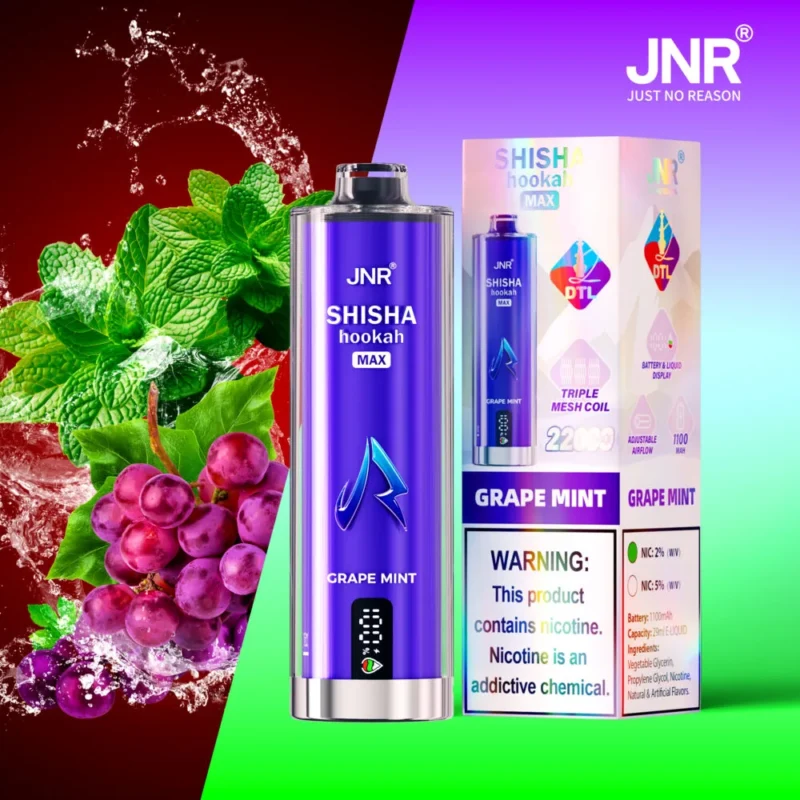 SM12 Grape Mint JNR Shisha Hookah Max 22000 Puffs Disposable Vape