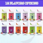 Vape 60k Bang DE 60000 Puffs Disposable Vape 3 IN 1 Flavors Mini-flavor-list.jpg