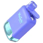 Vapsolo Zwillinge 20000 Puffs Einweg Vape