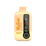 pêche mangue ananas Vapsolo DG 18000 Vape jetable 18K Puffs 28ML EU Warehouse #4