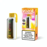 VOZOL Star 20000 20K Puffs Disposable Vape - Mango Ice