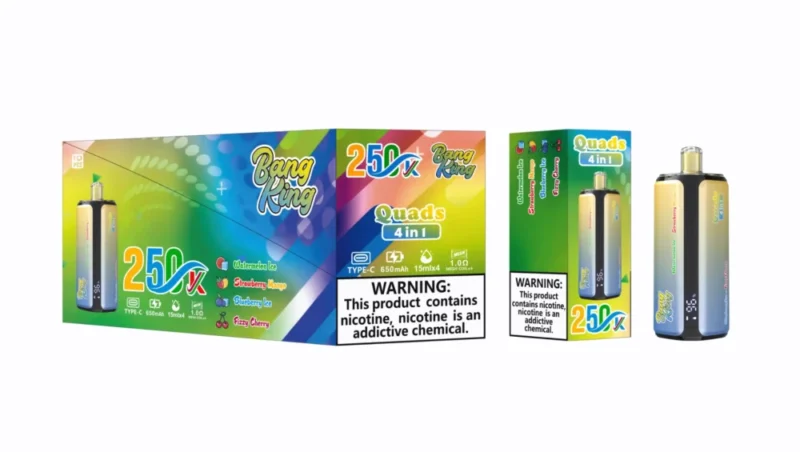 Bang king 250000 250k Puffs Bang 250k 4 in 1 Flavors New Vape - Watermelon Ice Strawberry Mango Blueberry Ice Fizy Cherry
