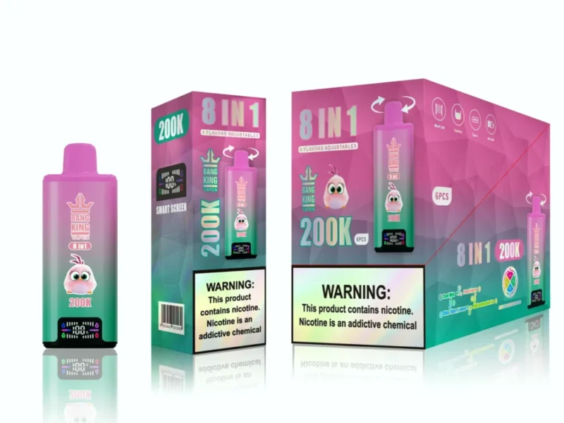 Bang king 300000 300k Puffs Bang 300k 8 in 1 Geschmacksrichtungen New Vape - Cool MintPeach CherryPeach Berry LemonKiwi Watermelon Ice